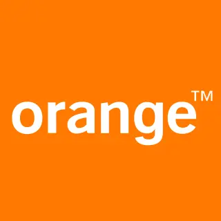 Orange Jordan